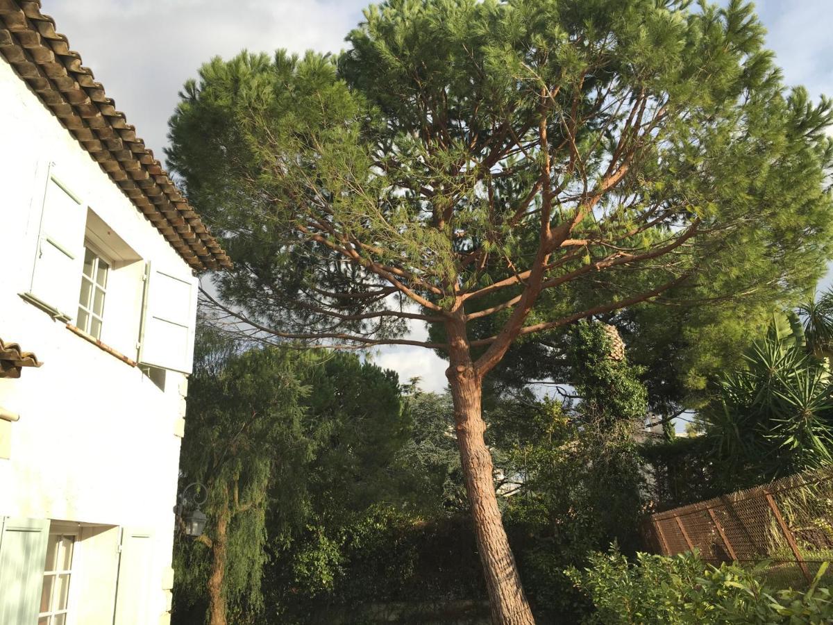 Villa Alessia Antibes Ngoại thất bức ảnh