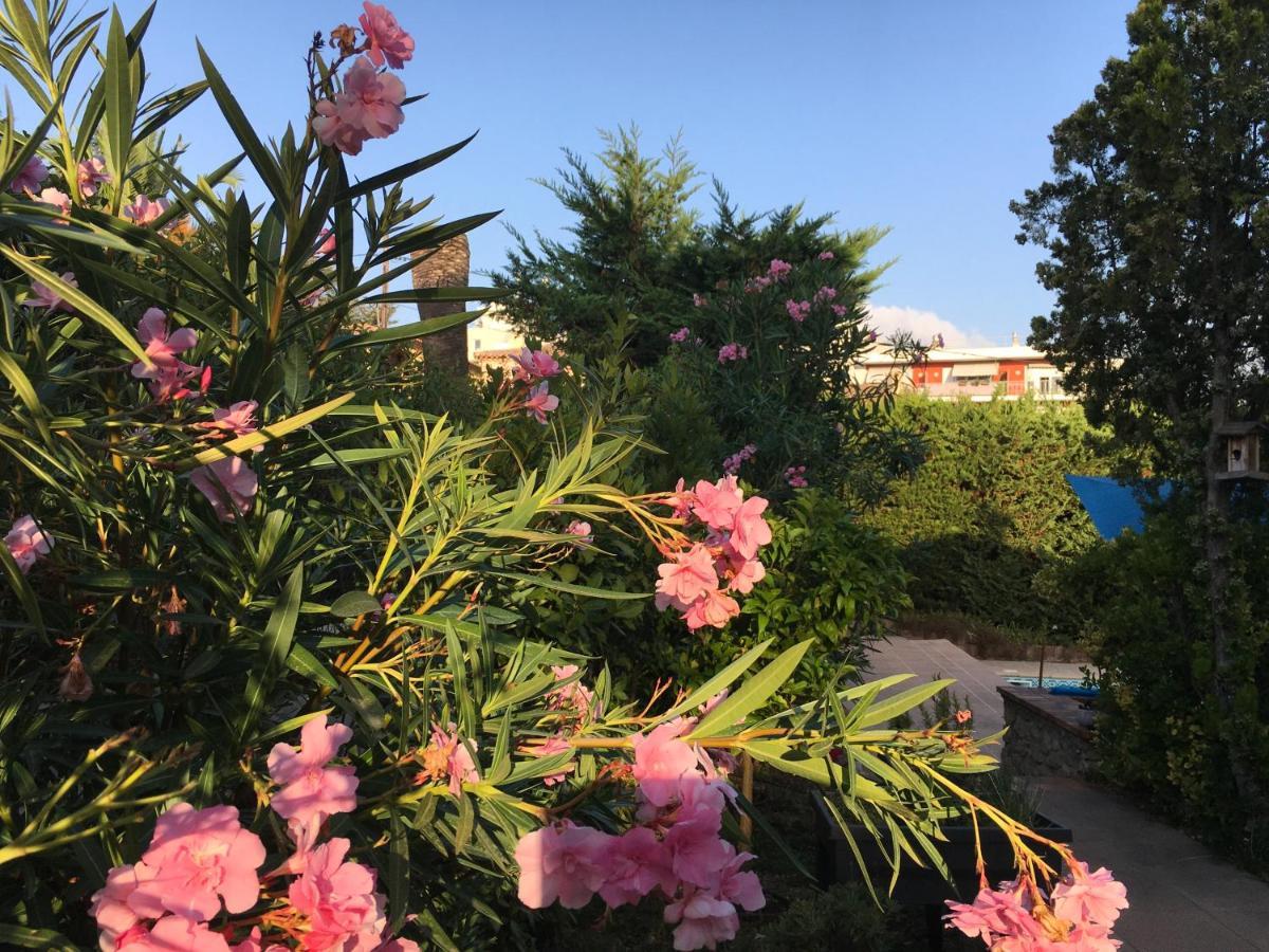 Villa Alessia Antibes Ngoại thất bức ảnh
