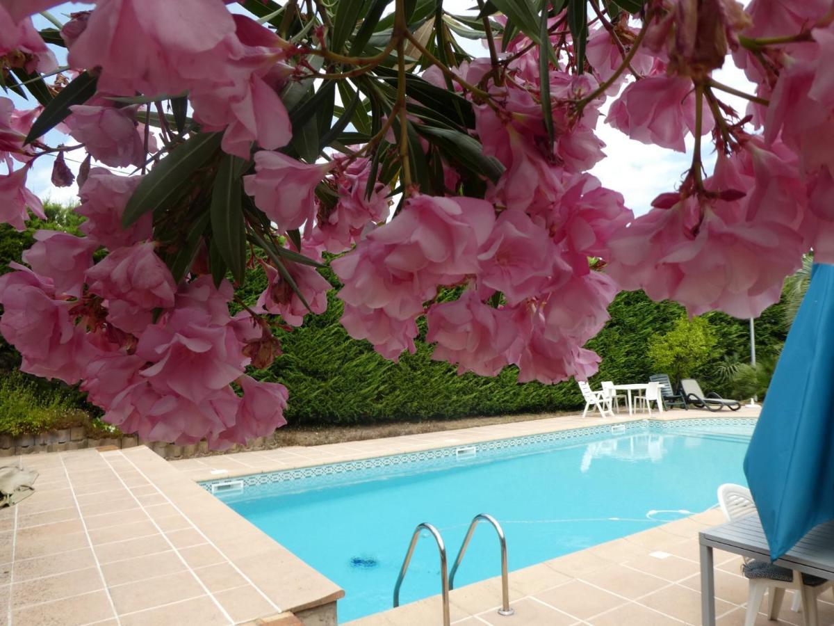 Villa Alessia Antibes Ngoại thất bức ảnh
