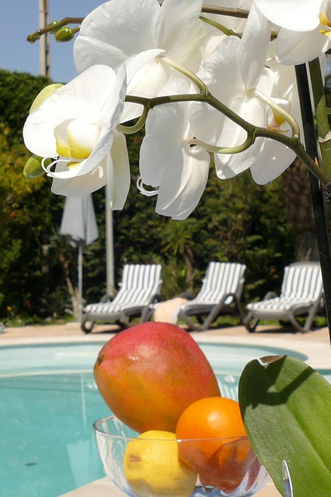 Villa Alessia Antibes Ngoại thất bức ảnh